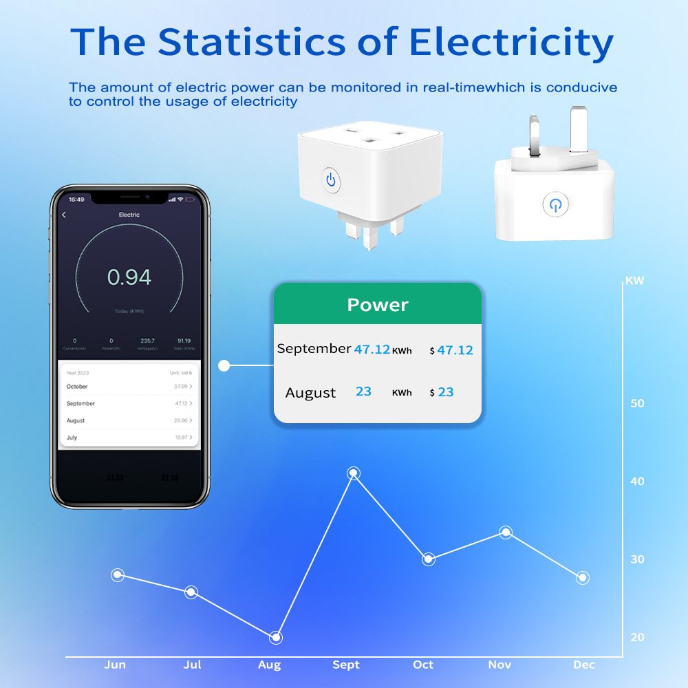 Tuya Smart Socket 16A/20A WiFi – обзор и цена Smart Home Wiser