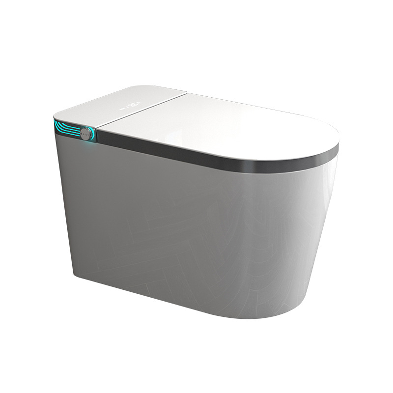 Smart toilet Fully automatic f – обзор и цена Smart Home Controller