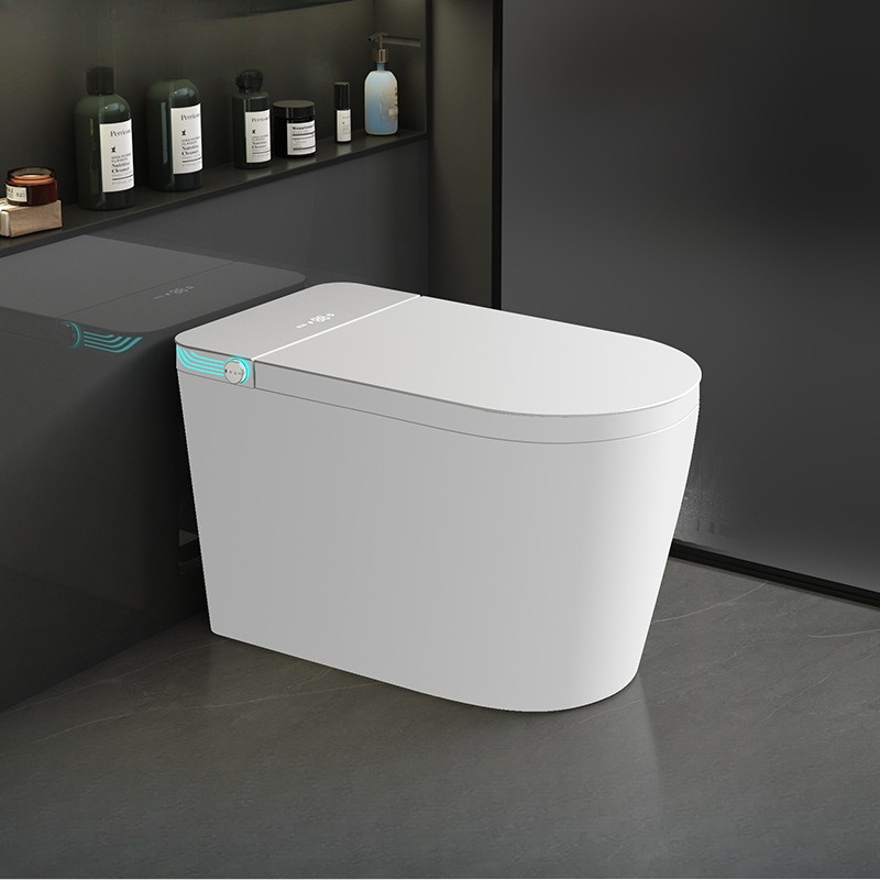 Smart toilet Fully automatic f – обзор и цена Smart Home Controller
